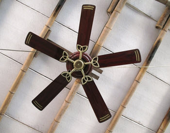 ceiling fan and air conditioner