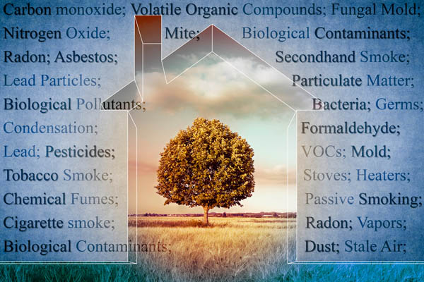 image of house and tree depicting indoor air quality