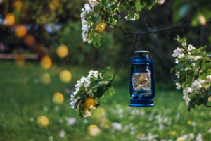 kerosene lamps