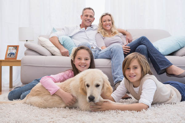 image of a family enjoying comfort of new efficient heating oil system