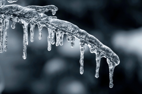 icicle on a tree branch during winter depicting weather patters