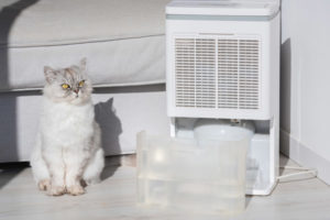 image of a dehumidifier