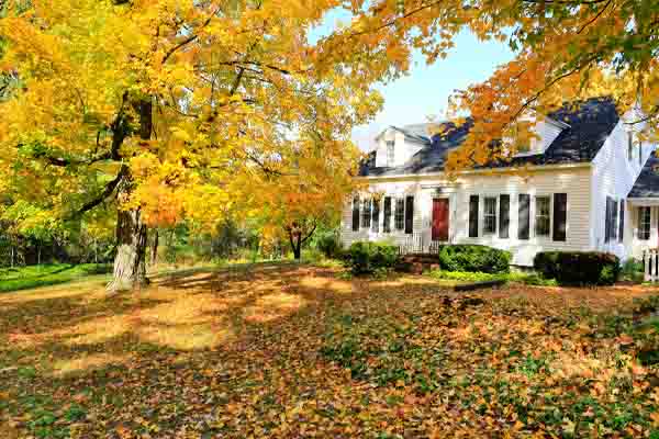 image of a house in new jersey with a deciduous tree