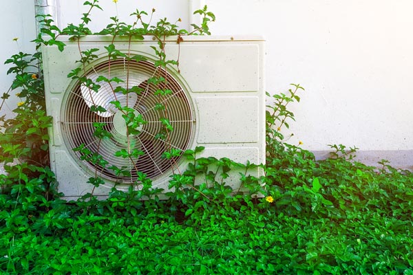 air conditioner condenser covered with plants