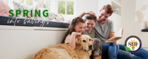 Spring into savings