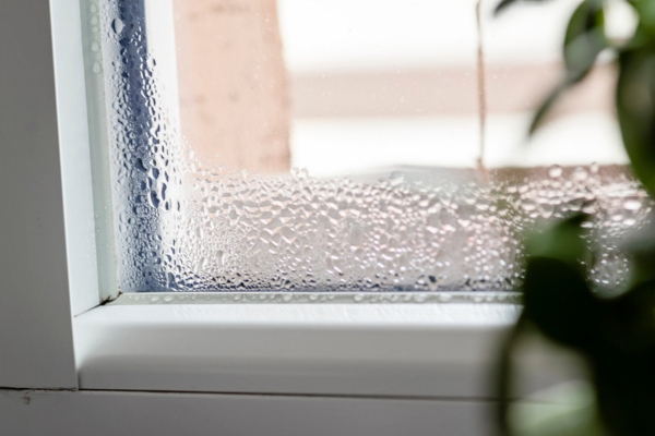 condensation on windows depicting signs you need a dehumidifier