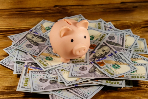 piggy bank on top of dollar bills depicting budget friendly Fuel Payment Options