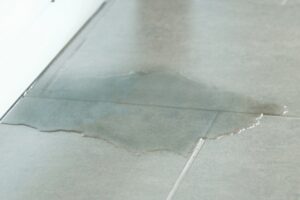 water leak on the floor depicting furnace leak
