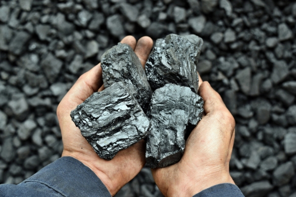 worker holding coal blocks with both hands
