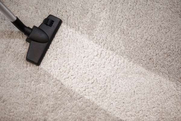 vacuum cleaner head and carpet